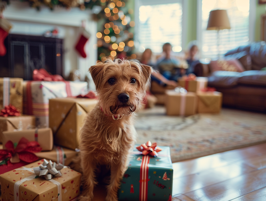 The Ultimate Gift Guide for Dogs and Dog Lovers